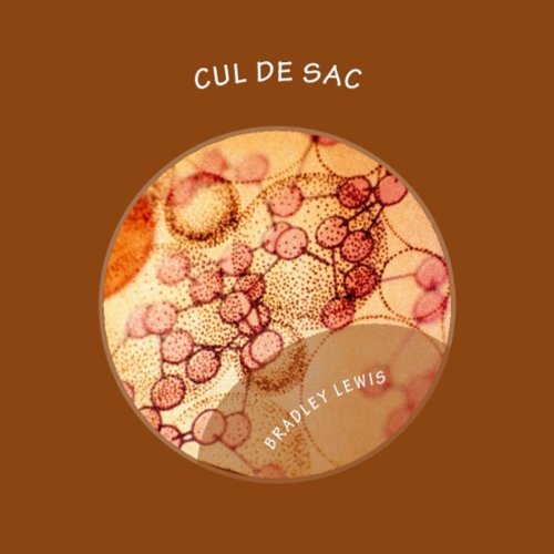 Cover of Cul De Sac