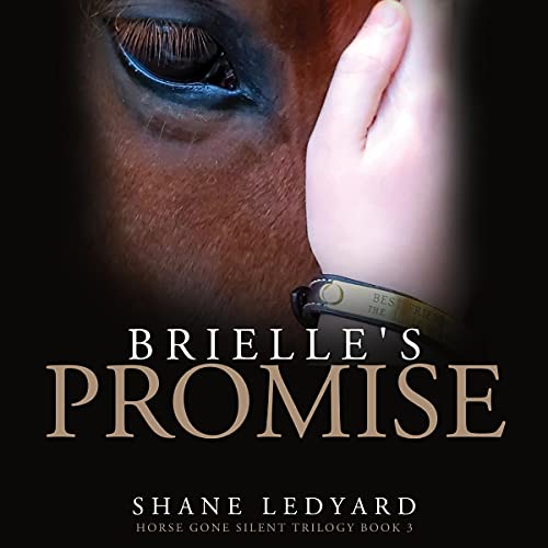 Cover of Brielle's Promise