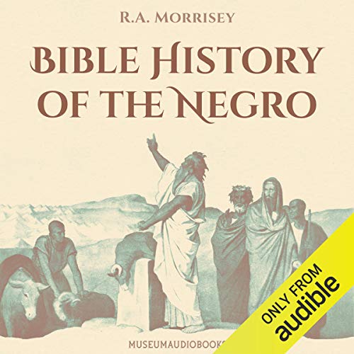 Cover of Bible History of the Negro