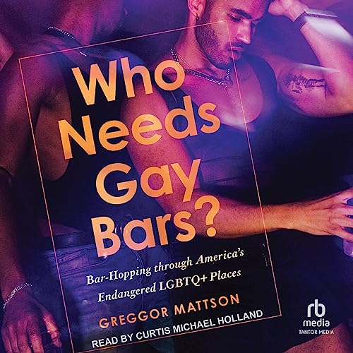 Cover of Who Needs Gay Bars?