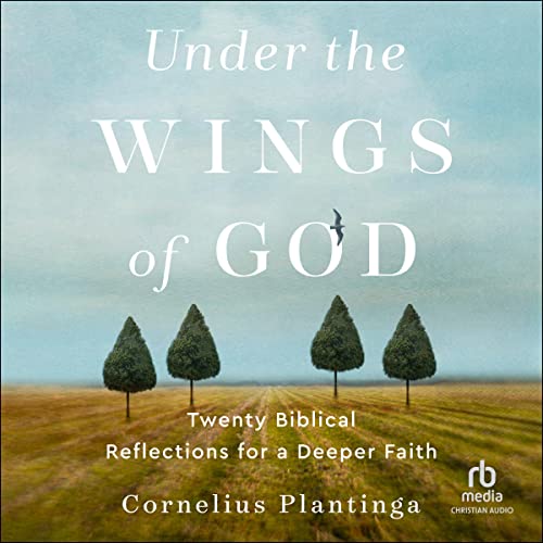 Cover of Under the Wings of God