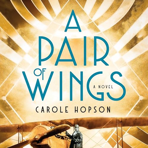 Cover of A Pair of Wings