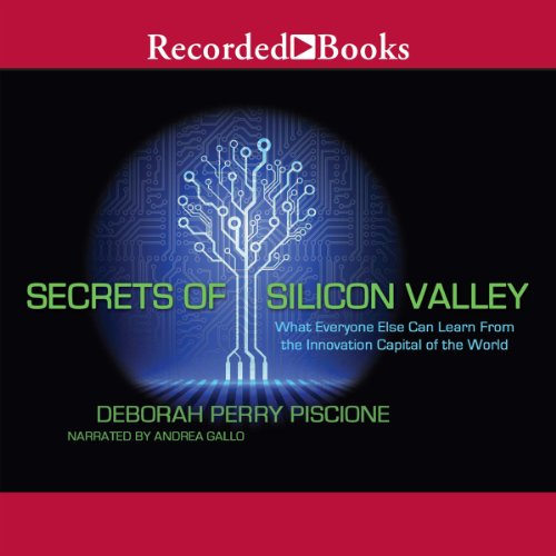 Cover of Secrets of Silicon Valley