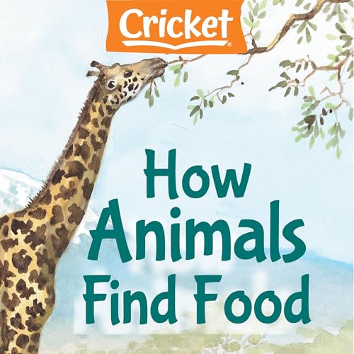Cover of How Animals Find Food