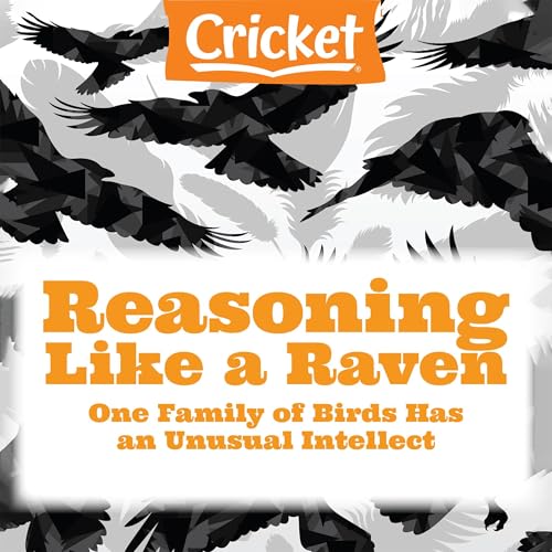 Cover of Reasoning Like a Raven