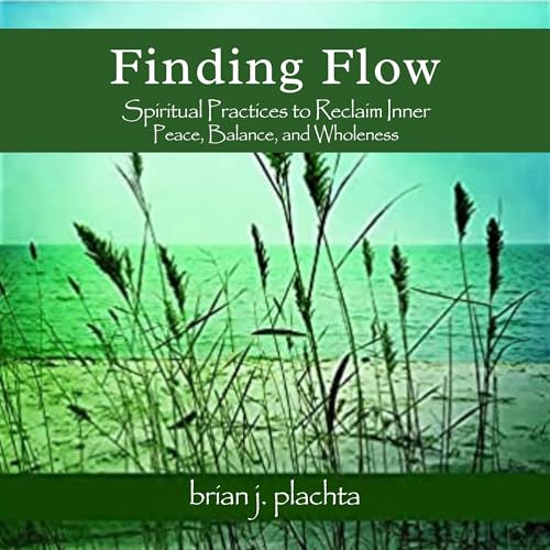 Cover of Finding Flow