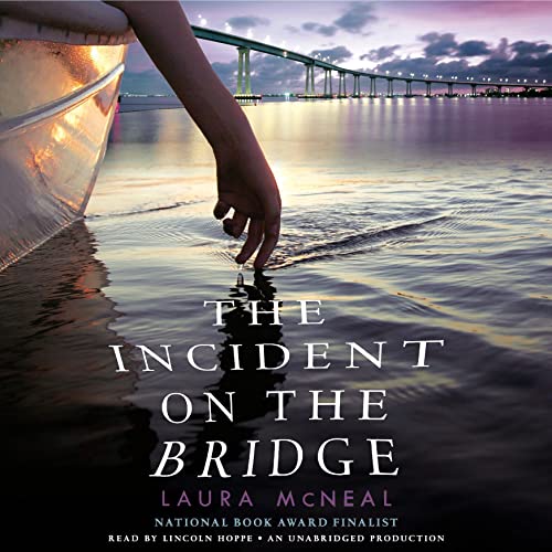 Cover of The Incident on the Bridge