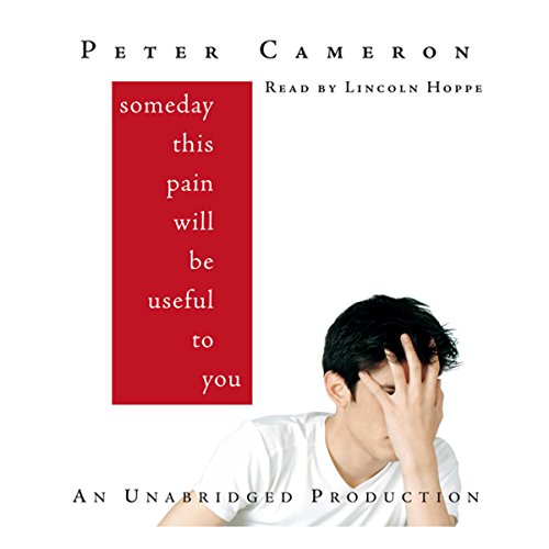Cover of Someday This Pain Will Be Useful to You