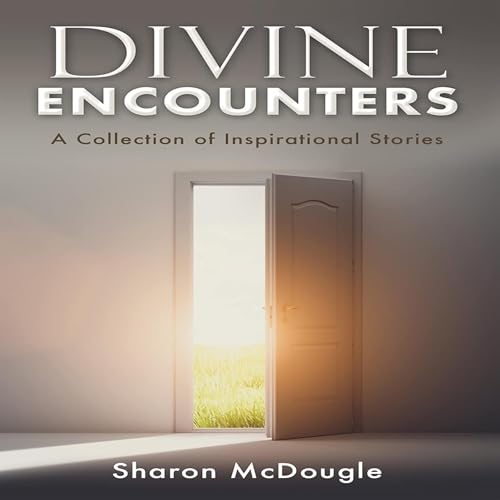 Cover of Divine Encounters