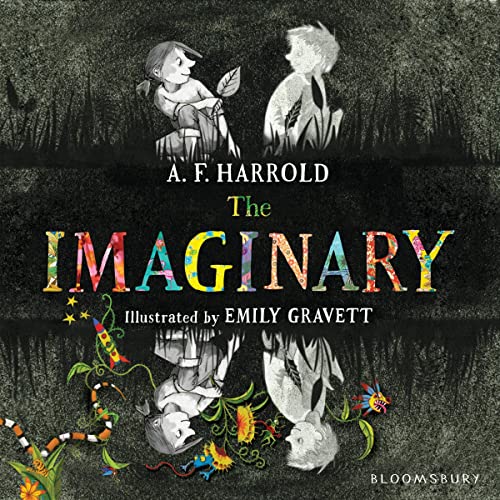 Cover of The Imaginary