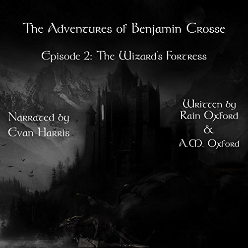 Cover of The Wizard's Fortress