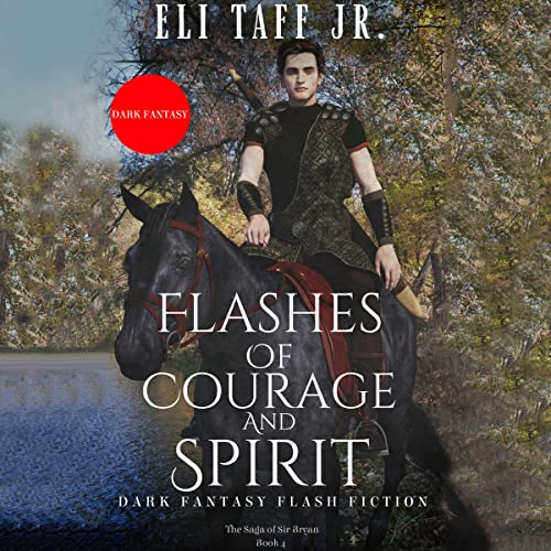 Cover of Flashes of Courage and Spirit