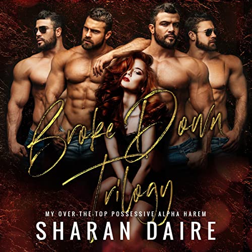 Cover of Broke Down Trilogy