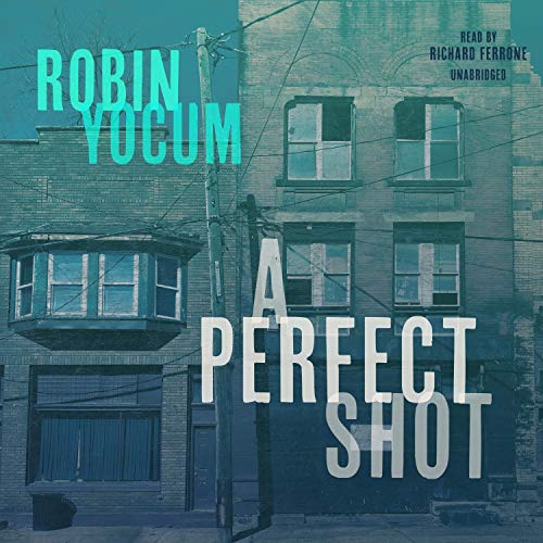 Cover of A Perfect Shot