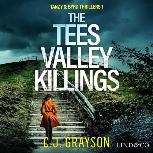 Cover of The Tees Valley Killings