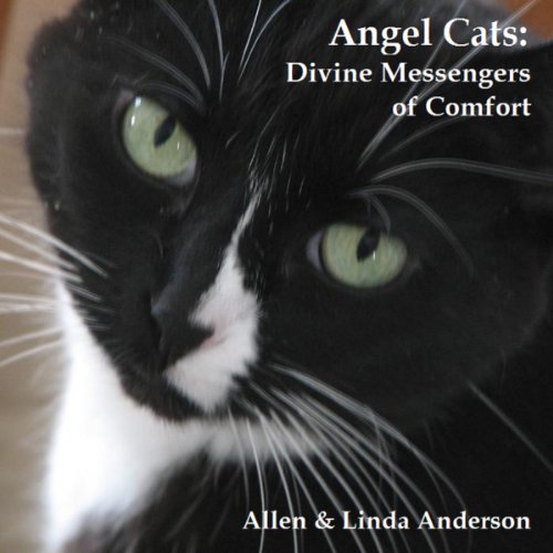 Cover of Angel Cats