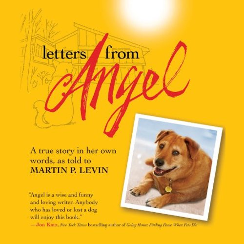 Cover of Letters from Angel