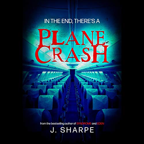 Cover of In the End, There's a Plane Crash