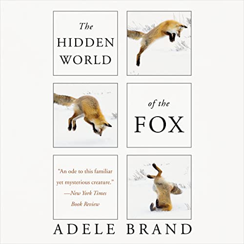 Cover of The Hidden World of the Fox