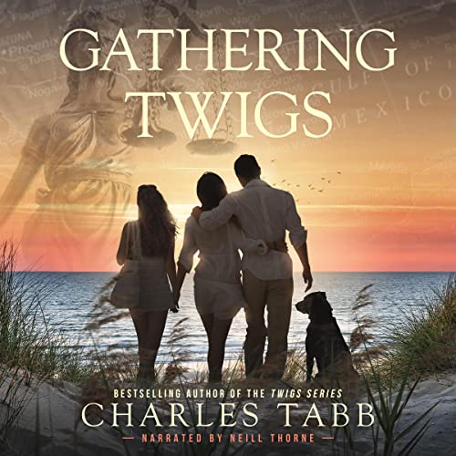 Cover of Gathering Twigs