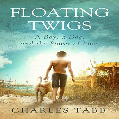 Cover of Floating Twigs
