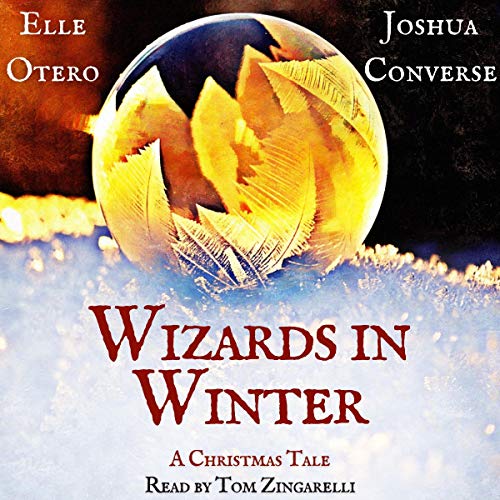 Cover of Wizards in Winter