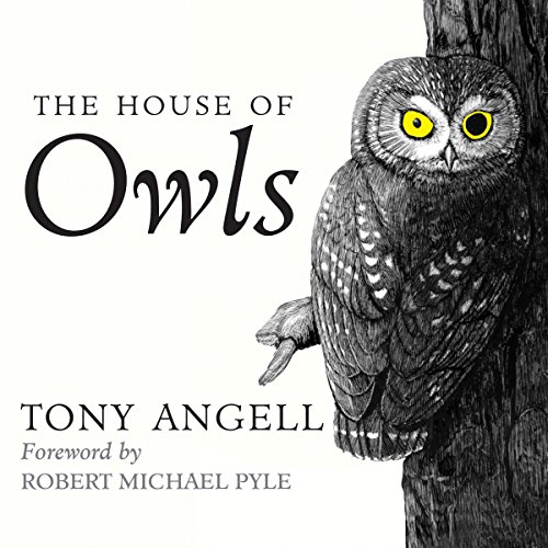 Cover of The House of Owls