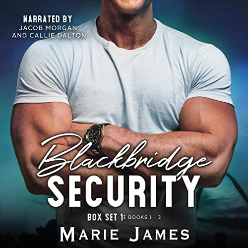 Cover of Blackbridge Security Box Set 1