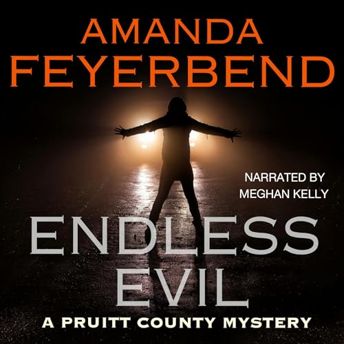 Cover of Endless Evil
