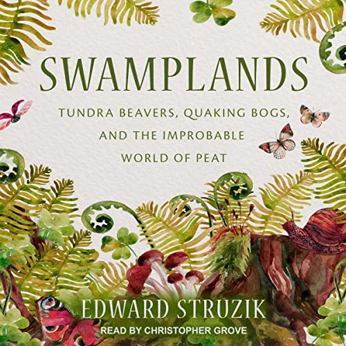 Cover of Swamplands