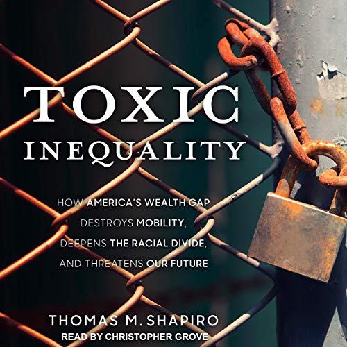 Cover of Toxic Inequality