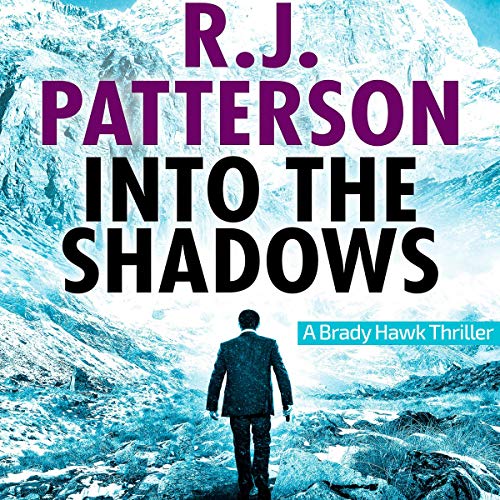 Cover of Into the Shadows