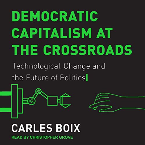 Cover of Democratic Capitalism at the Crossroads