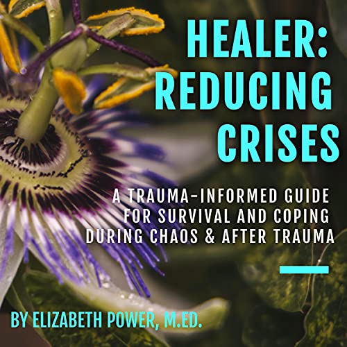 Cover of Healer