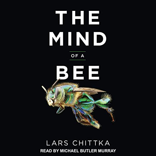Cover of The Mind of a Bee