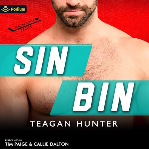 Cover of Sin Bin
