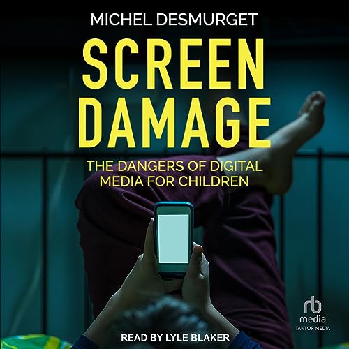 Cover of Screen Damage
