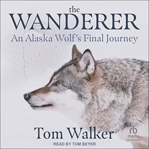Cover of The Wanderer