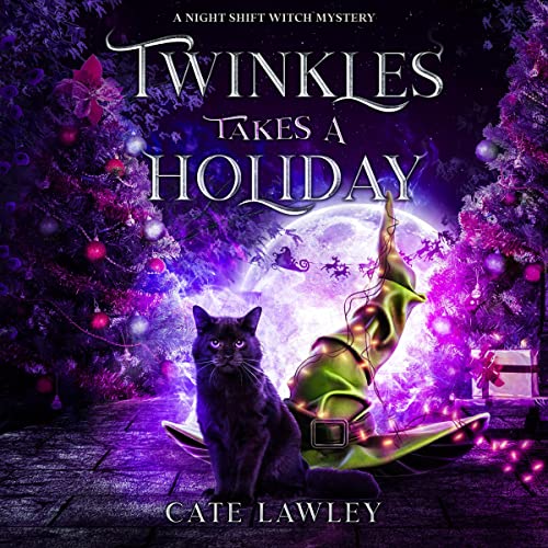 Cover of Twinkles Takes a Holiday