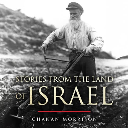 Cover of Stories from the Land of Israel