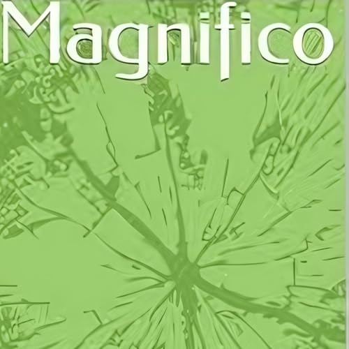 Cover of Magnifico