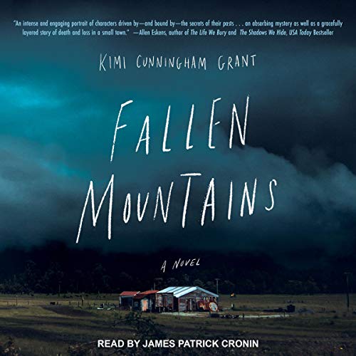 Cover of Fallen Mountains