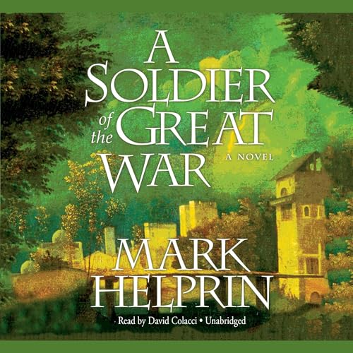 Cover of A Soldier of the Great War
