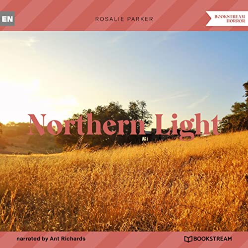 Cover of Northern Light