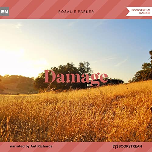 Cover of Damage