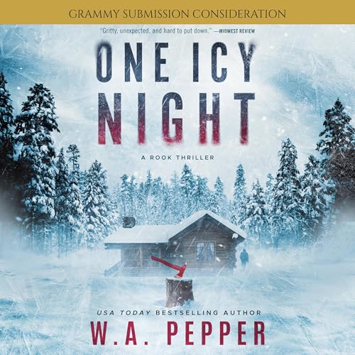 Cover of One Icy Night