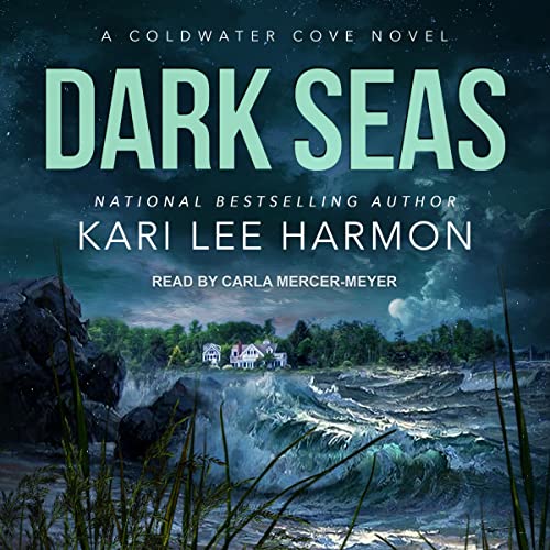 Cover of Dark Seas