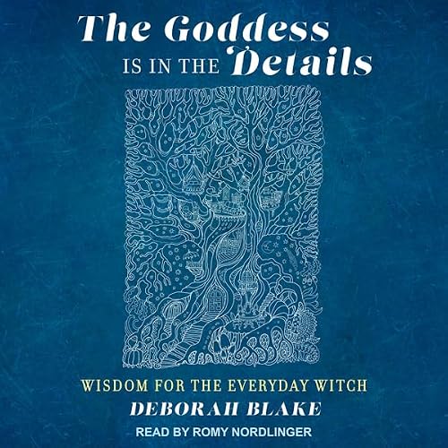 Cover of The Goddess Is in the Details