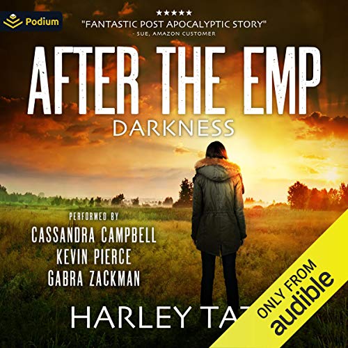Cover of Darkness