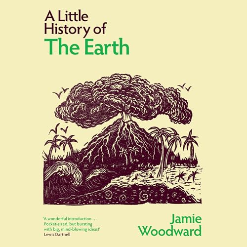 Cover of A Little History of the Earth